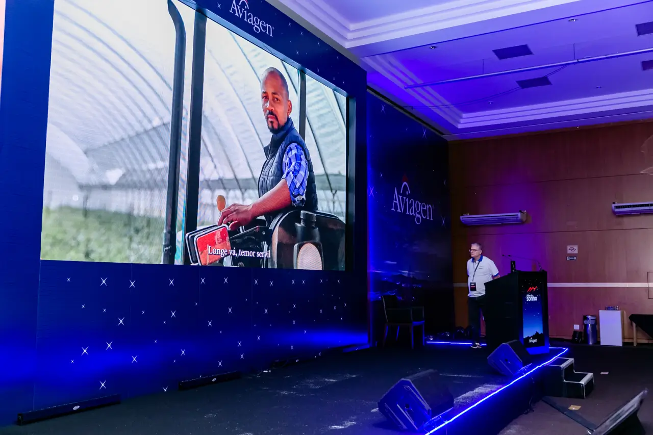 projeção mapeada em fachada